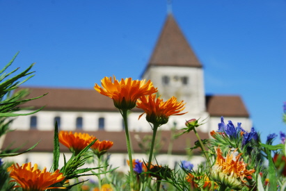 Blumenwiese vor St. Georg, Oberzell